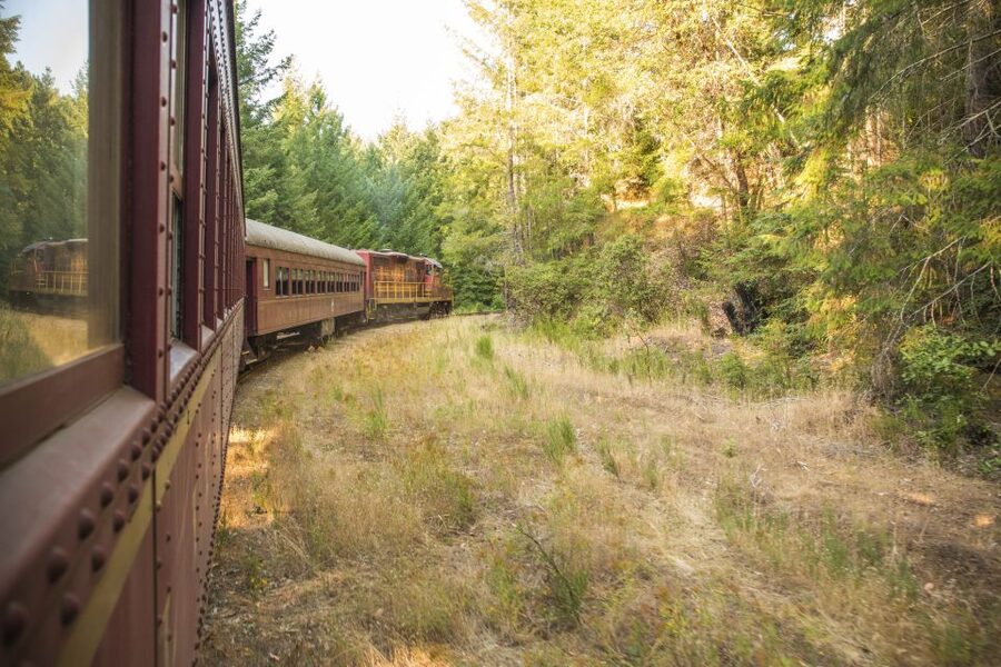 Mendocino County: Skunk Train Wolf Tree Turn Train Ride - Is $70 a Fair Price?