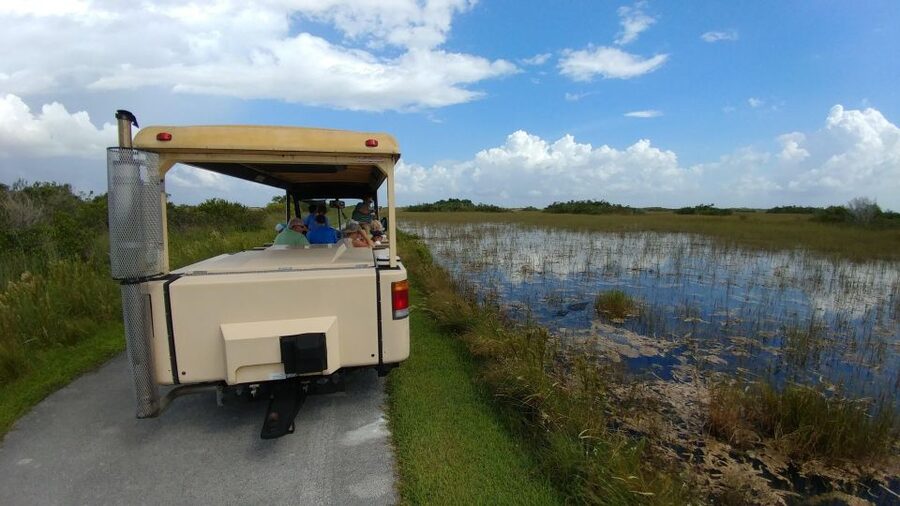 Miami: Everglades Airboat Ride and Tram Tour - Key points to know before booking
