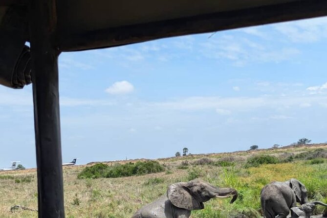 Mikumi National Park Day Trip by Train From Dar Es Salaam - What the $390 price covers