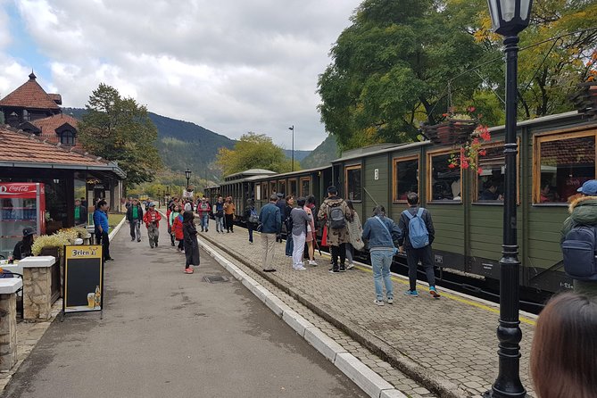 Mokra Gora toure with a Šargan 8 train ride - Why this day trip works from Belgrade