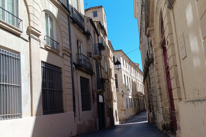 Montpellier guided walking and tram tour (private) - Saint-Clément Aqueduct and the Pic Saint-Loup view