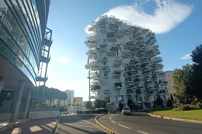 Montpellier guided walking and tram tour (private) - Place Jean Jaurès and Halles Castellanes