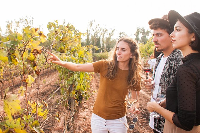 Montserrat & Cogwheel Train, Gourmet Wine Tasting & Tapas/Lunch - Two hours around the monastery and Basilica