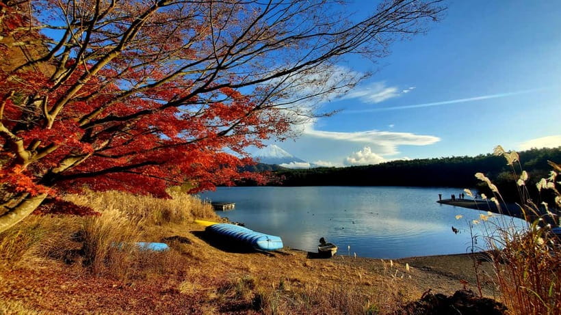 Mount Fuji & Hakone Private Tour with Bullet Train Return - Why this day works for first-time Japan visitors