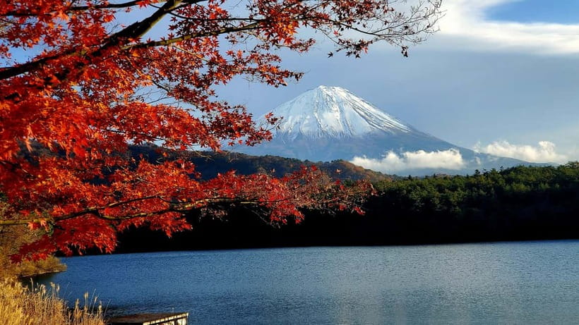 Mount Fuji & Hakone Private Tour with Bullet Train Return - What the $280 price includes