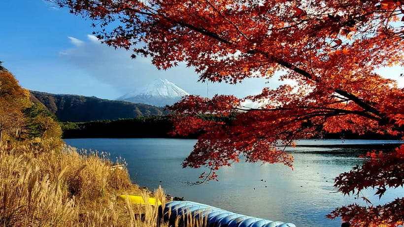 Mount Fuji & Hakone Private Tour with Bullet Train Return - Oshino Hakkai and Fuji’s clear spring water