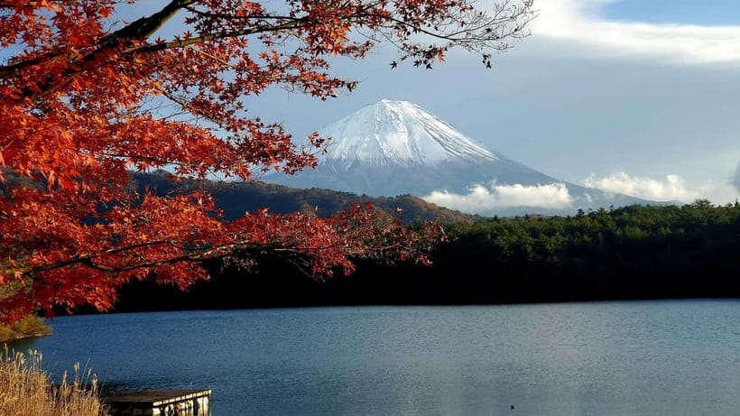 Mount Fuji & Hakone Private Tour with Bullet Train Return - Fujikawaguchiko and Lake Yamanaka