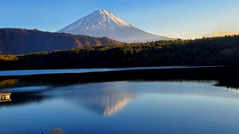 Mount Fuji & Hakone Private Tour with Bullet Train Return - Hakone Ropeway: views from above
