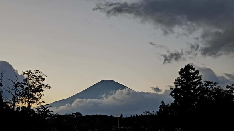 Mount Fuji & Hakone Private Tour with Bullet Train Return - The Shinkansen finish is useful, but not fully door to door