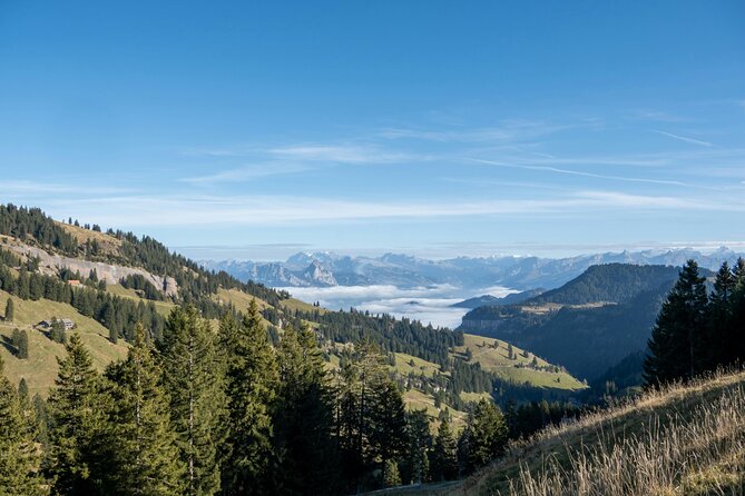 Mount Rigi Tour from Lucerne Historic Train and Boat Ride - Arth-Goldau and the 1806 landslide