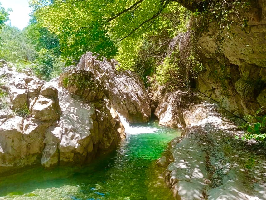 Mountain Train Experience: Hike & Mystic Forest (From Nice) - Key points to know before booking