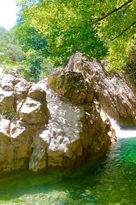 Mountain Train Experience: Hike & Mystic Forest (From Nice) - Lunch and the practical meaning of the price