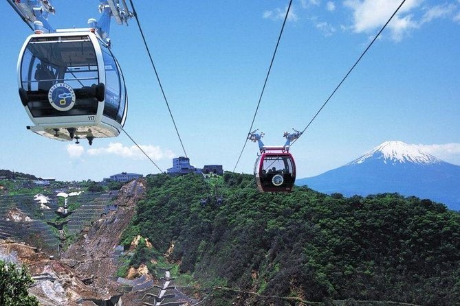 Mt. Fuji and Hakone Day Trip From Tokyo with Bullet Train Option - One day from Shinjuku to Fuji and Hakone