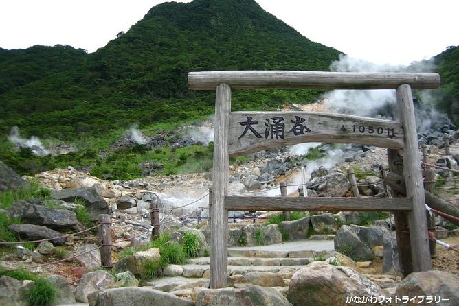 Mt. Fuji and Hakone Day Trip From Tokyo with Bullet Train Option - Lunch: convenient, but choose the option carefully