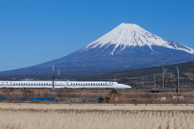 Mt. Fuji and Hakone Day Trip From Tokyo with Bullet Train Option - Owakudani’s steam vents and sulfur air