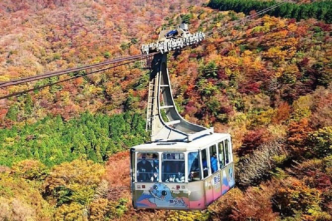Mt Fuji & Hakone Cruise, Drum Show Bullet Train 1 Day from Tokyo - Weather, Substitutions, and the Biggest Risk