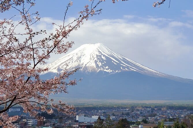 Mt Fuji & Hakone Private Tour from Tokyo: Return by Bullet Train - Chureito Pagoda brings the famous Fuji view
