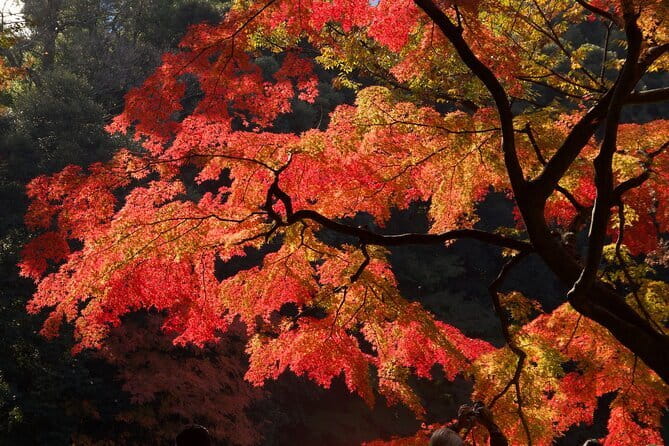Mt Fuji & Hakone Private Tour from Tokyo: Return by Bullet Train - Oshino Hakkai shows the mountain’s water