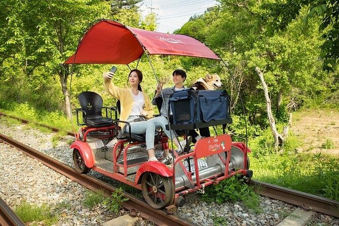 Nami Island & Petite France & Italian Village & Gangchon Rail Bike One-Day Tour - Gangchon Rail Park: the strongest reason to choose this tour