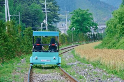 Nami Island Trip with Petite France & Italian Village and Gangchon Rail Bike