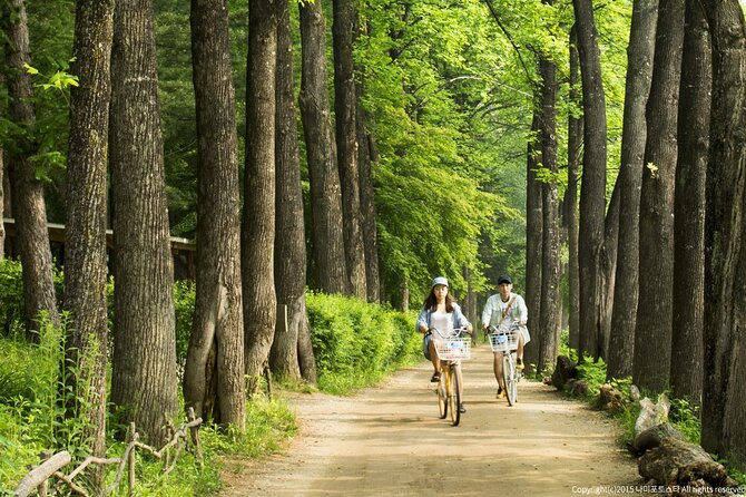 Nami Island Trip with Petite France & Italian Village and Gangchon Rail Bike - Nami Island and its tree-lined roads