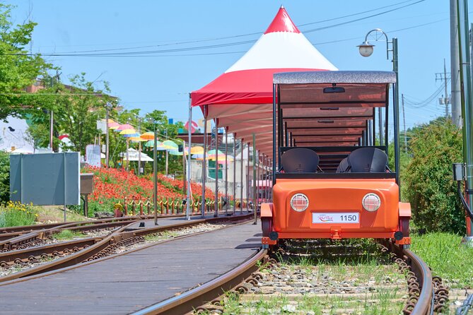 Nami Island Trip with Petite France & Italian Village and Gangchon Rail Bike - The pace, coach, and guide support