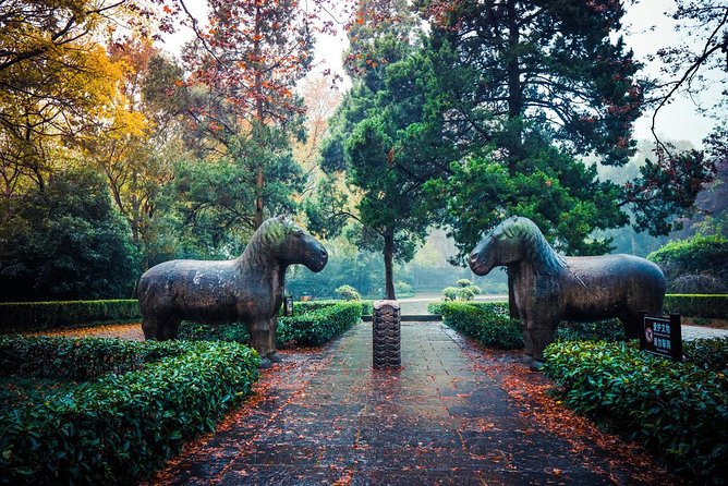 Nanjing Day Tour from Shanghai by Bullet Train - The morning train and the first practical question