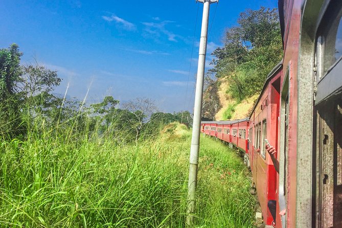 Nanu Oya to Kandy train ride on (Train No: 1016 "Udarata Menike") - Should you book the Nanu Oya to Kandy train?
