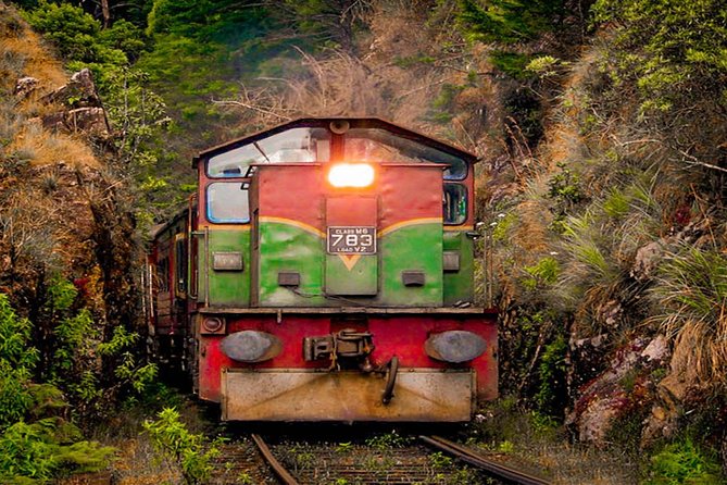 Nanu Oya to Kandy train ride on (Train No: 1016 "Udarata Menike") - Tea estates, forest, villages, and farmland