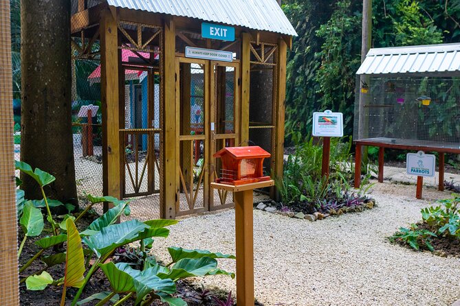 Nature Trail, Tram & Rum Tasting at Harrison's Cave by Chukka - Mount Gay rum tasting at the park