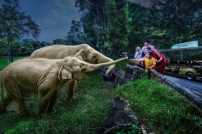 Night Safari Singapore Skip the Line Tickets with Tram Ride - Key points to know before you book
