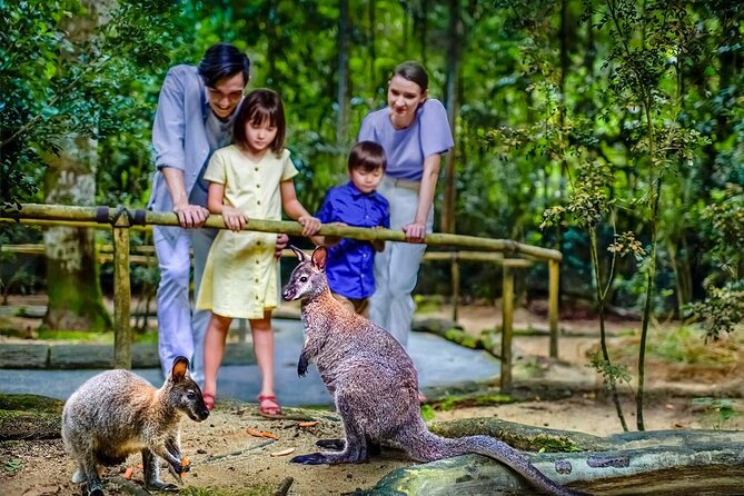 Night Safari Singapore Skip the Line Tickets with Tram Ride - What the one-stop itinerary includes