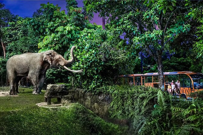 Night Safari Singapore Skip the Line Tickets with Tram Ride - Who will get the most from this experience