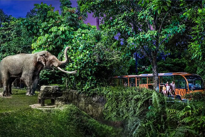 Night Safari Tickets with Tram Ride - What makes the Night Safari different after dark