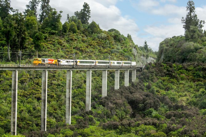 Northern Explorer Train Journey from Auckland to Wellington - Auckland departure: arrive early and check the platform details