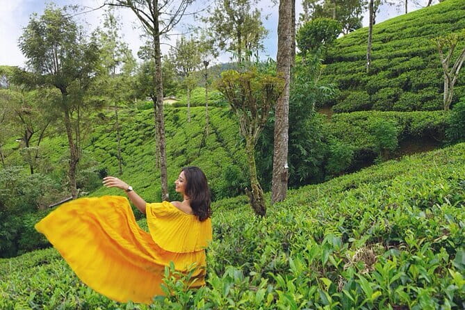 Nuwara Eliya Highlights: Waterfall, Tea & Picturesque Train Ride - Pedro Tea Factory in the heart of tea country