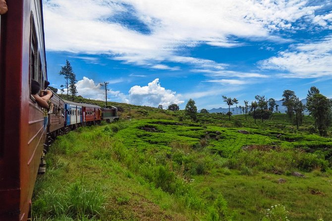 Nuwara Eliya journey by Train and car (2 Days with 01 Night) - Susantha Spice and Herbal Garden