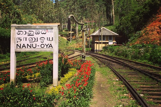 Nuwara Eliya journey by Train and car (2 Days with 01 Night) - Gregory Lake and a taste of Nuwara Eliya