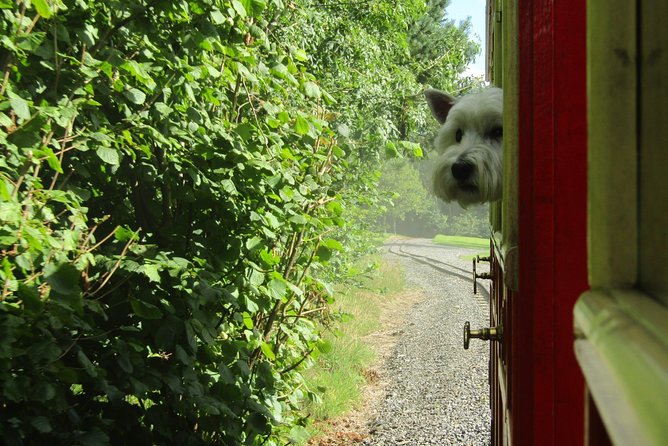 Oakfield Park Day Pass and Train Ride - Starting among the walled gardens and ponds