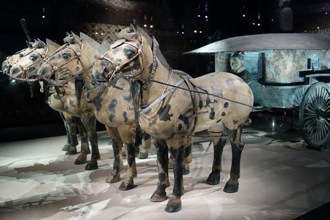 One Day Chengdu Xian Tour by Bullet Train - A bold Chengdu to Xi’an day trip