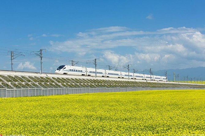 One Day Chengdu Xian Tour by Bullet Train - The bullet train across central China