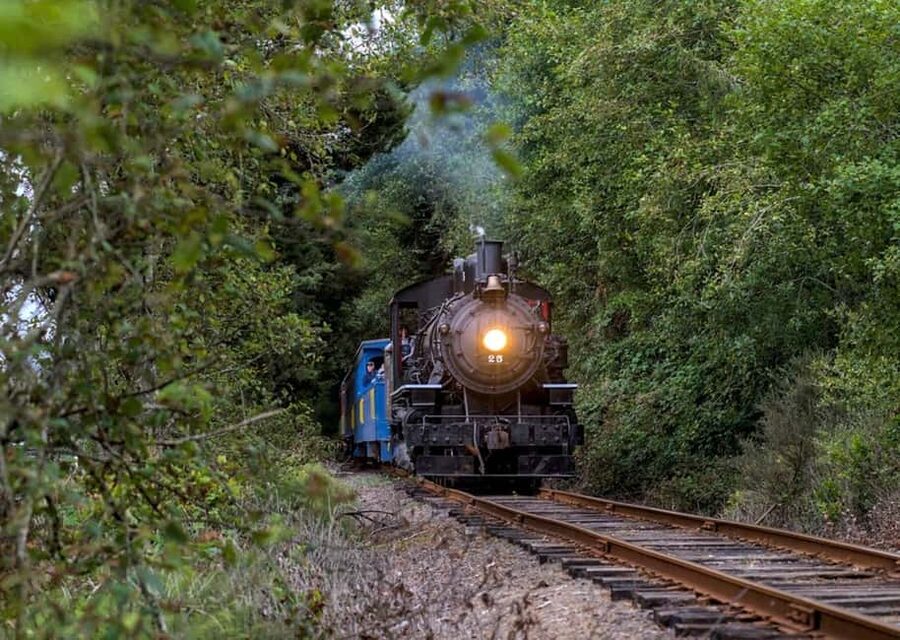 Oregon Coast: Scenic Railroad Excursion Along Coastline - Your 30-minute stop in Rockaway Beach or Garibaldi