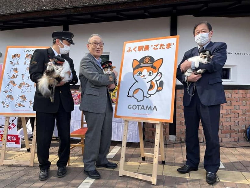 Osaka: Wakayama Cat Train, Seafood market, Hot Springs Tour - Key points to know before booking