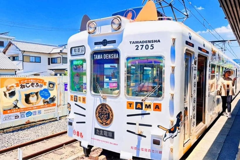 Osaka: Wakayama Cat Train, Seafood market, Hot Springs Tour - Why this Osaka day trip works