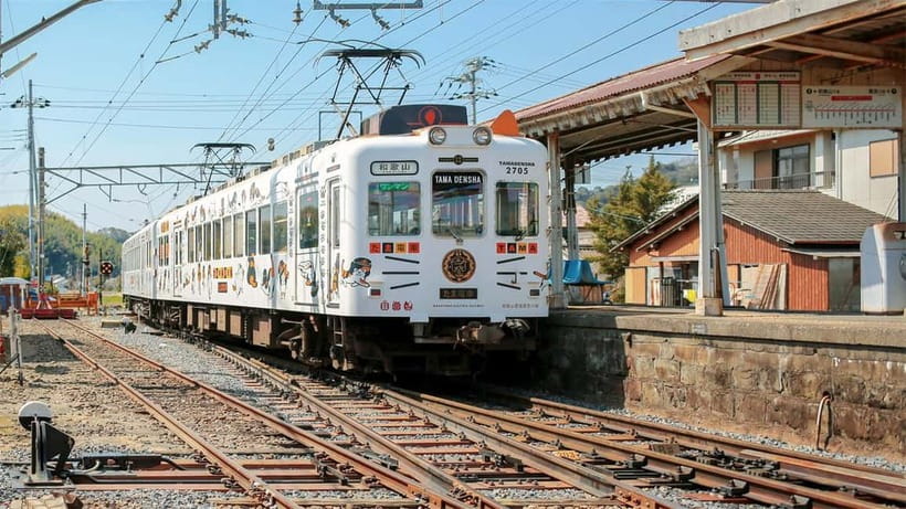 Osaka: Wakayama Cat Train, Seafood market, Hot Springs Tour - Kishi Station and the Tama cat train