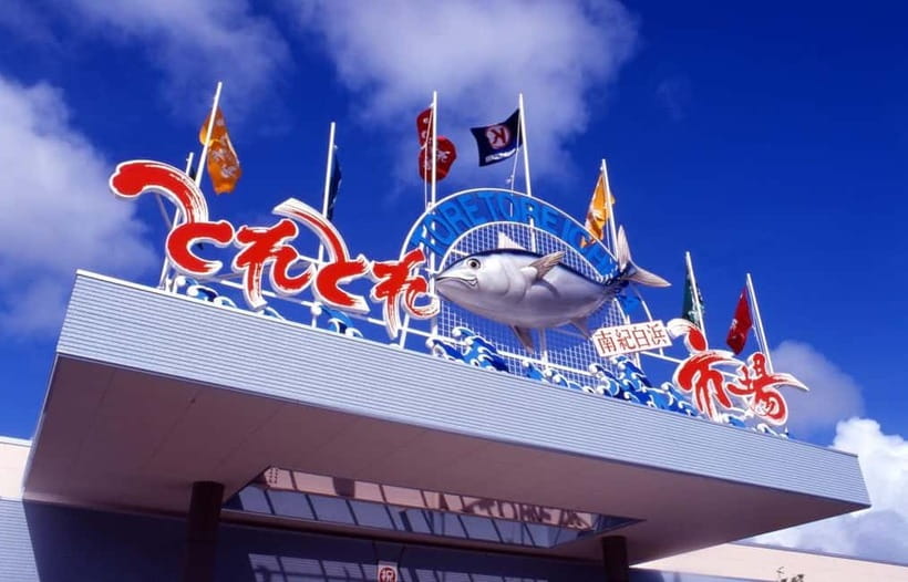 Osaka: Wakayama Cat Train, Seafood market, Hot Springs Tour - The bus ride, schedule, and group pace