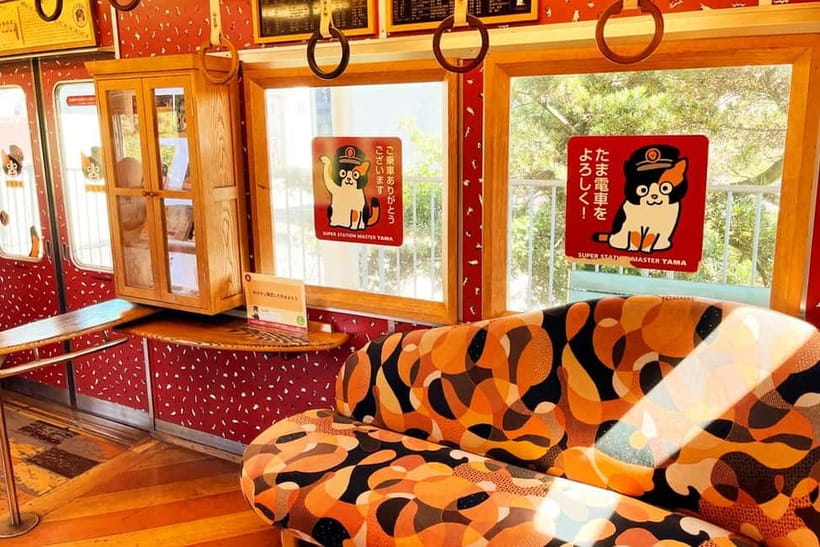 Osaka: Wakayama Cat Train, Seafood market, Hot Springs Tour - Leaving Osaka from Nipponbashi