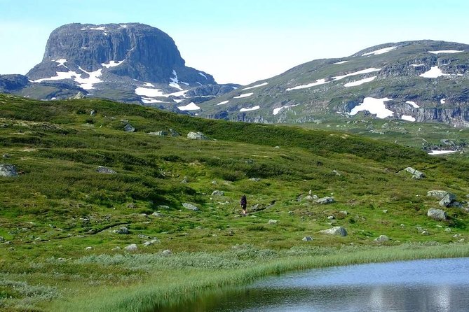 Oslo To Sognefjord Private Full Day Roundtrip Including Flam Railway - Price, inclusions, and the real value