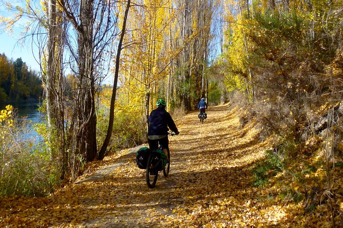 Otago Central Rail Trail One Day Wonder Cycle tour - Chatto Creek to Clyde: choose your finish carefully