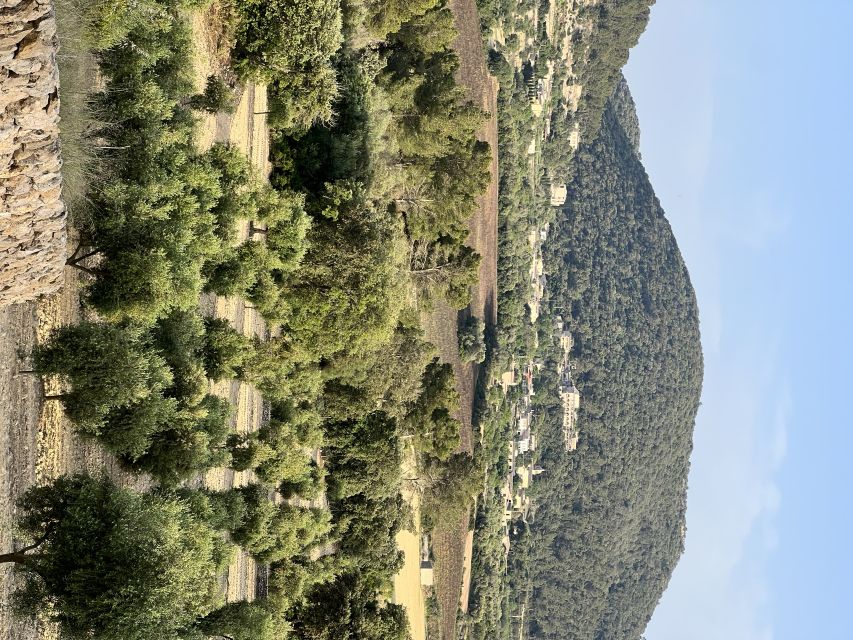 Palma: Orange Valley Vintage Train and Orange Farm Tour - Key points at a glance
